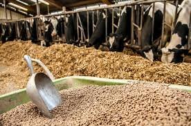 Aliments pour bétail